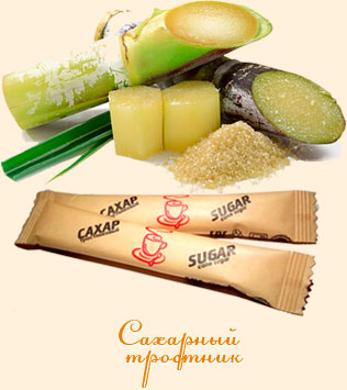 Сахарный  тростник